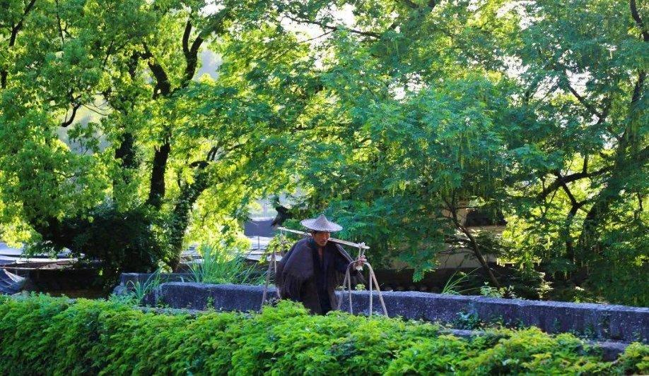 迎来“本名年” 看看这些名里带“龙”的人都有哪些新年愿景
